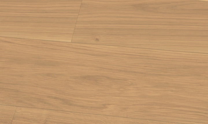 4104504030_1.jpg