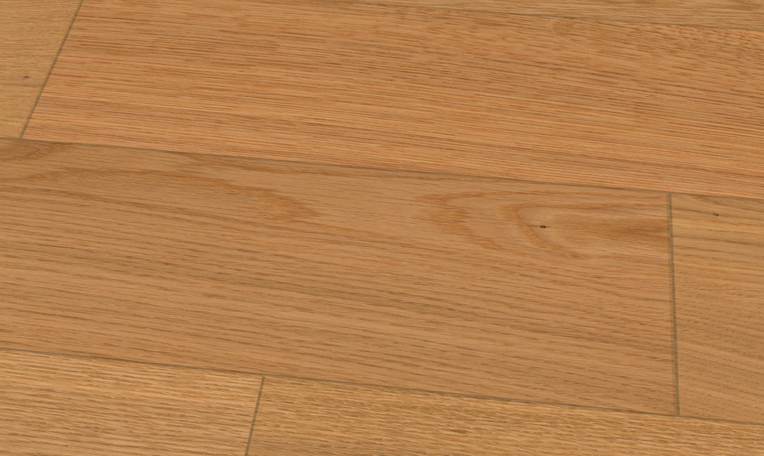 B90500C00000_1.jpg