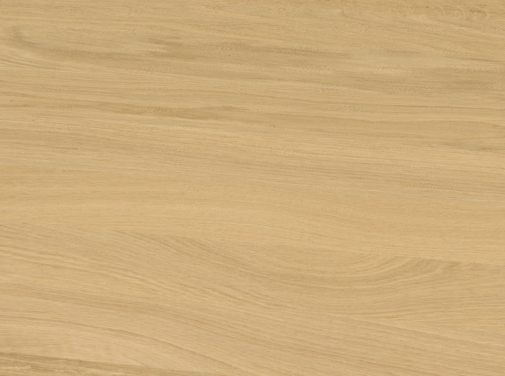 Leimholzplatte 40mm Eiche europ. A/B massiv - durchgehende Lamellen