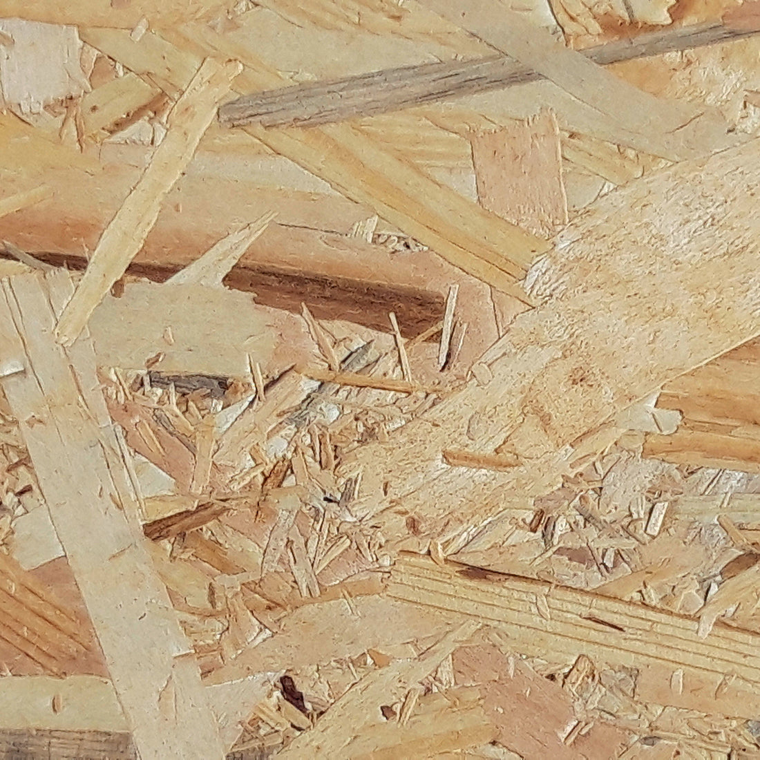 OSB-3 Platte – 4-seitig Nut/Feder, Contifinish Oberfläche, 22mm