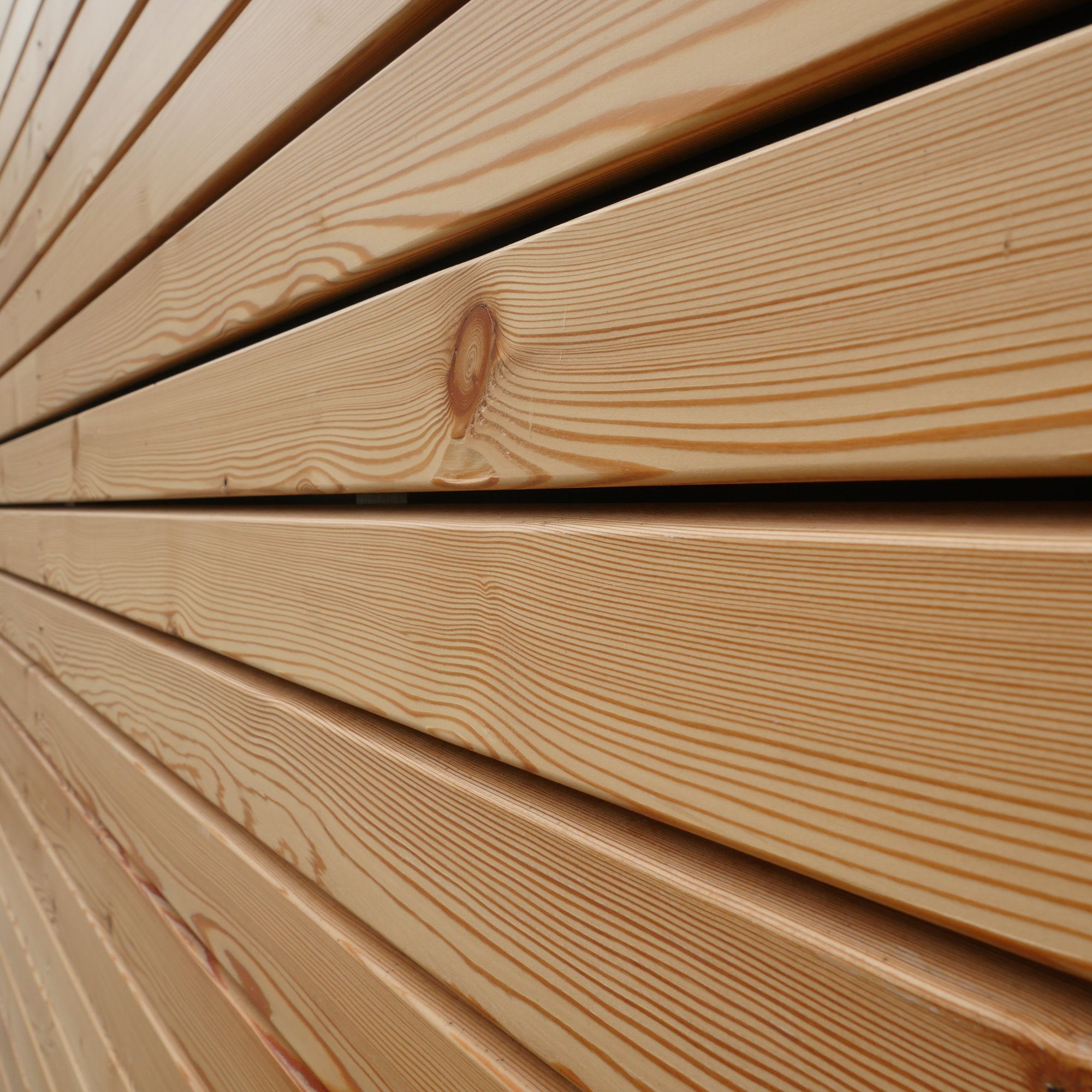 Rhombusleiste kanadische Lärche 28x68mm | VEH A/B