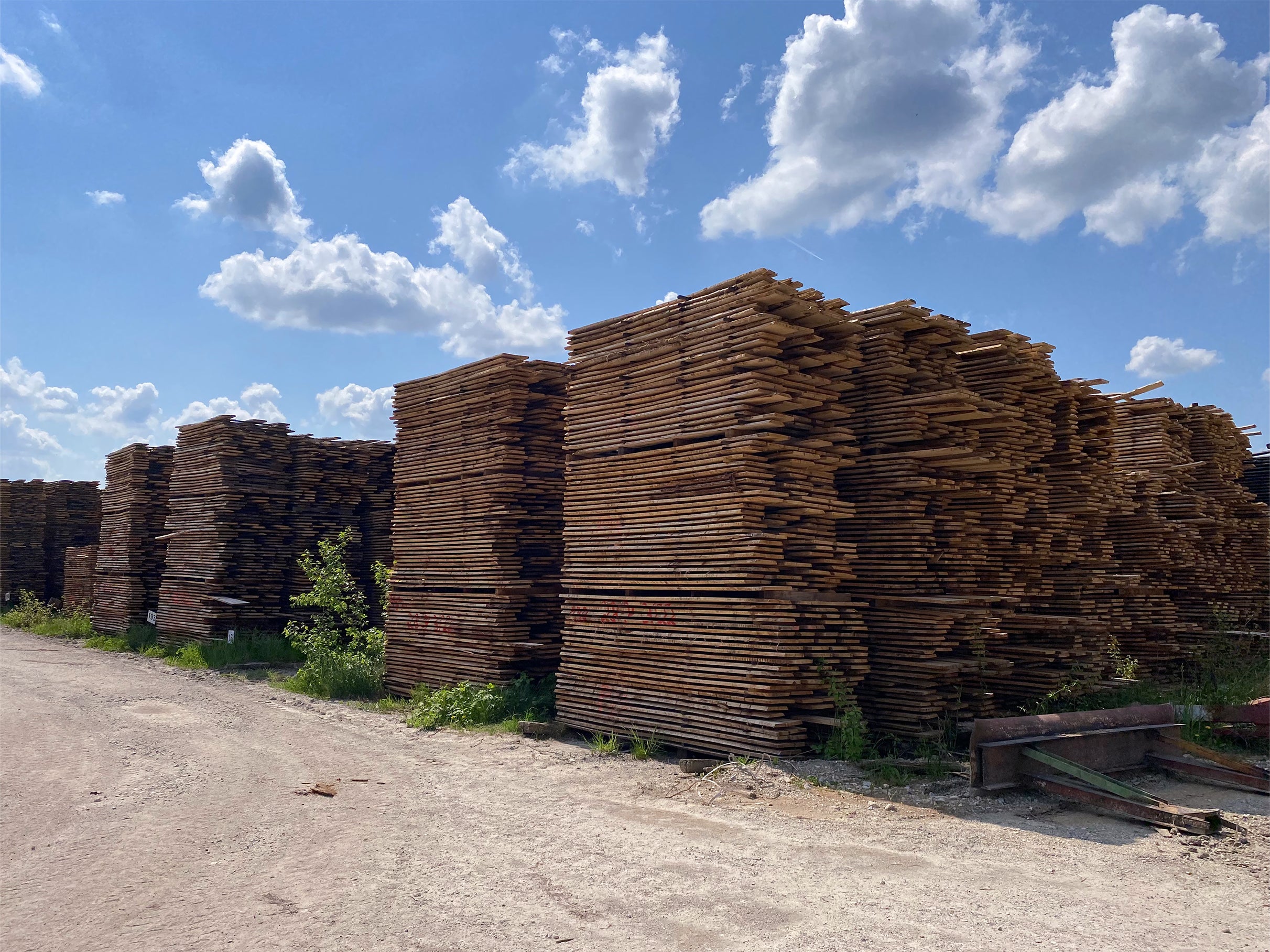 Eine Weitwinkelaufnahme des Schnittholzplatzes