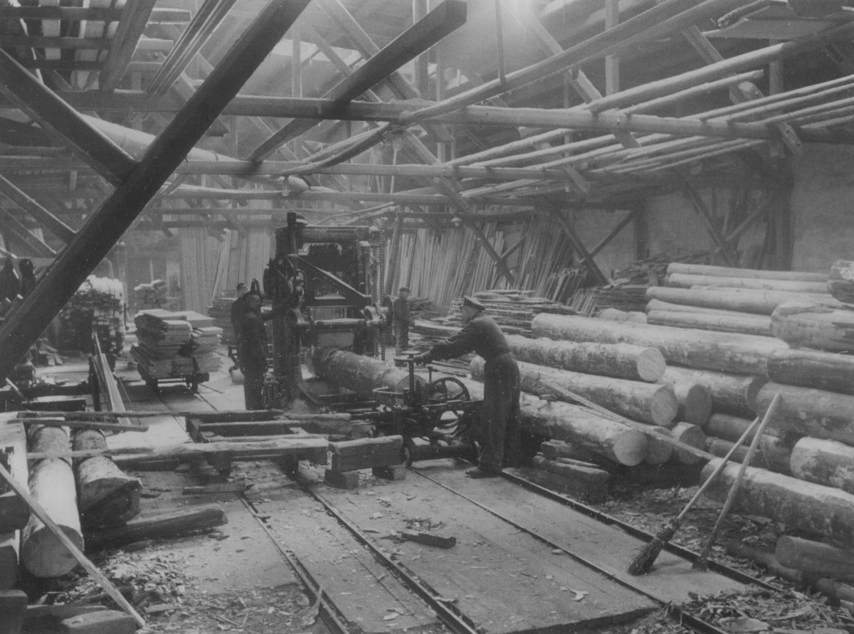 Historisches Foto des Sägewerks in Bamberg